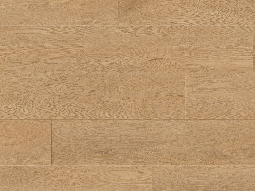 Greenwich Click SPC Rookery