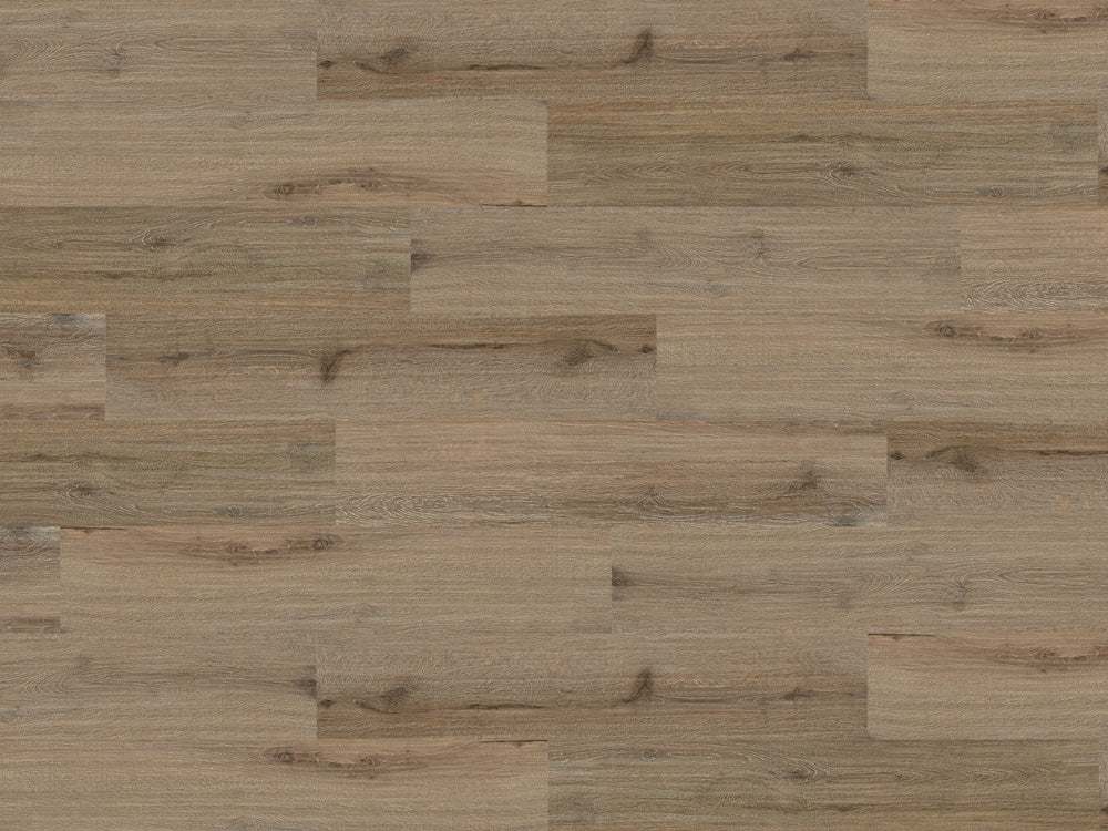 Dynamic Click Valderrama Cork