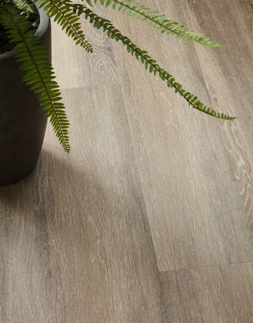 Asenso Elegance Sandy Cove Oak
