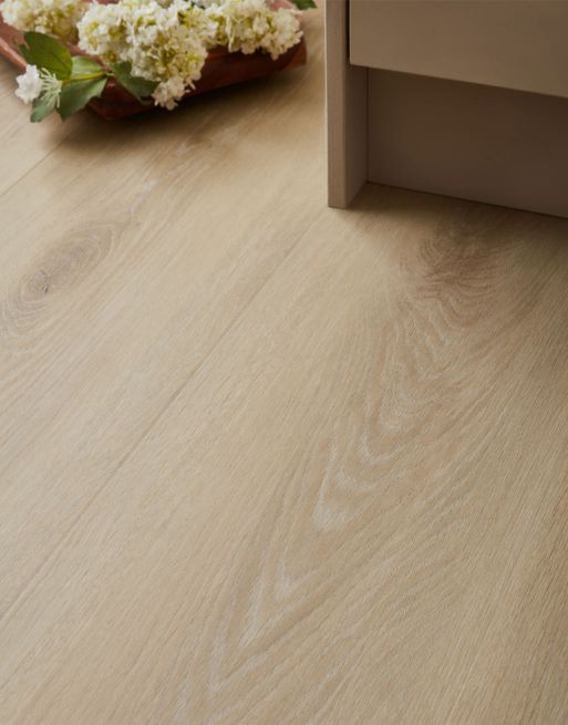 Asenso Royal Johannes Oak