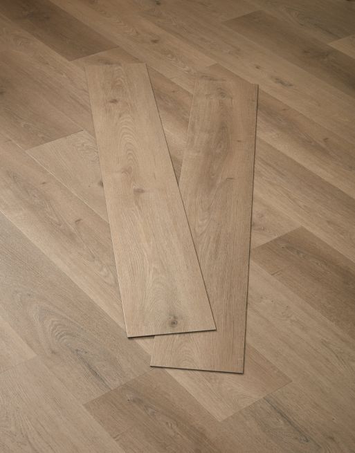 Asenso Signature Oyster Oak