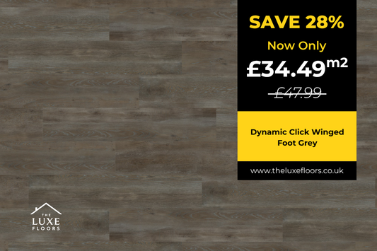 Dynamic Click Winged Foot Grey