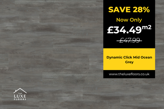 Dynamic Click Mid Ocean Grey