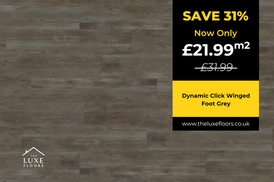 Dynamic Click Winged Foot Grey